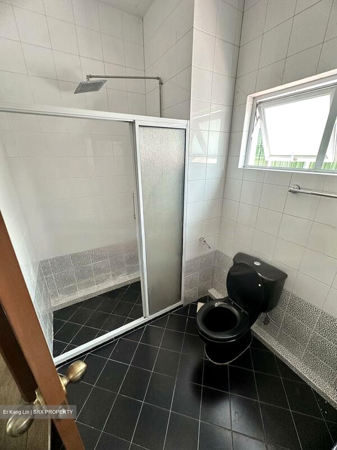 Dunearn Road (D11), Detached #483531821